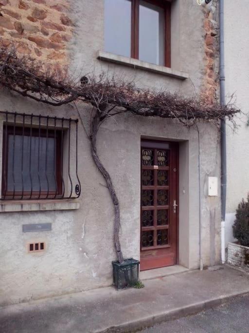 Le Sud De St Just D'avray Saint-Just-d'Avray